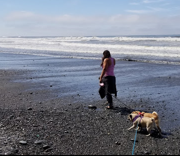 South Beach Campground - Olympic National Park