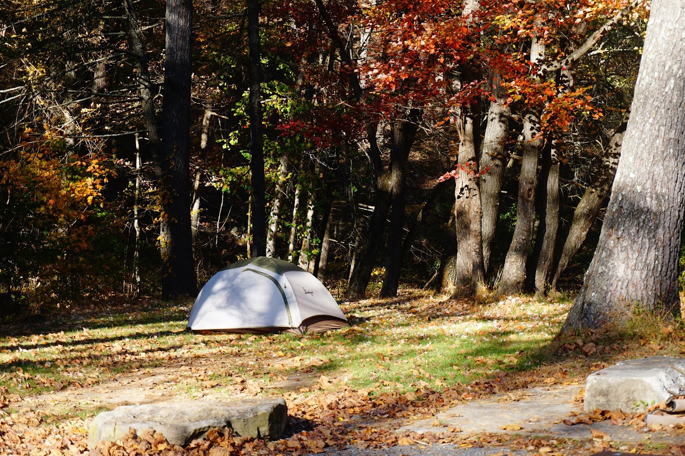 North River Campground