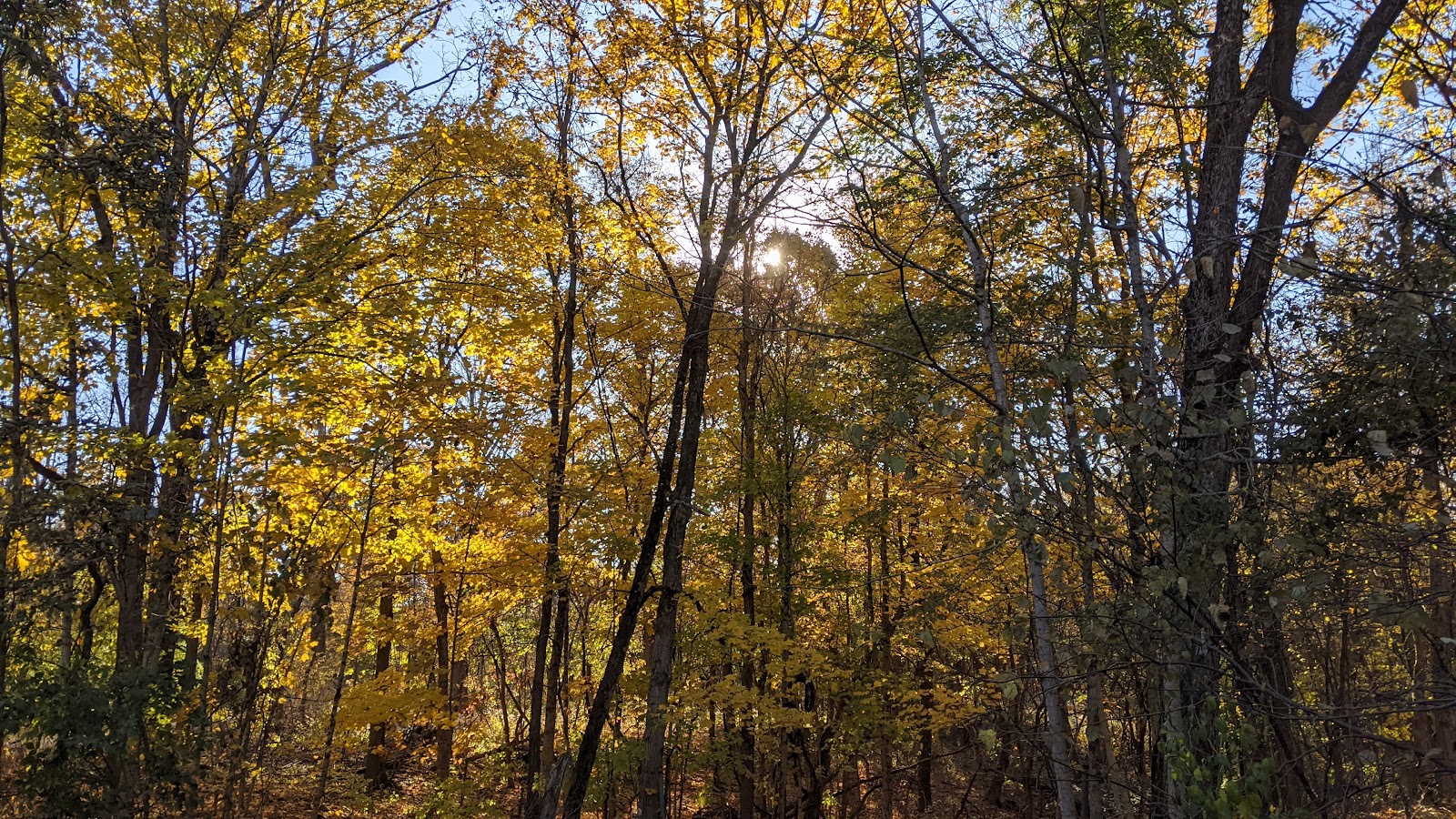 Skiles Test Nature Park