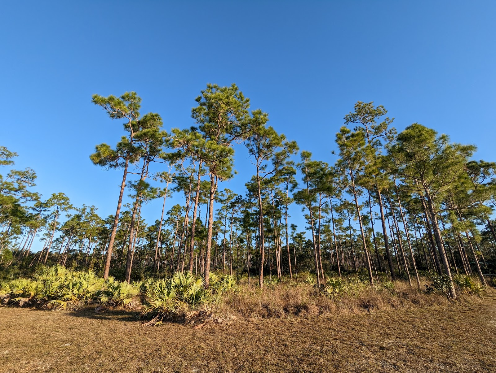 Long Pine Key Campground