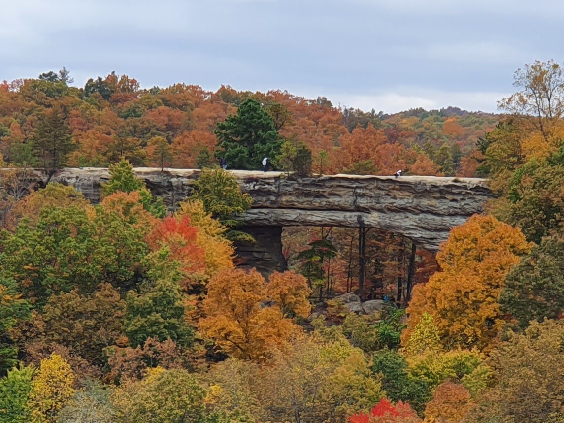 Natural Bridge State Resort Park