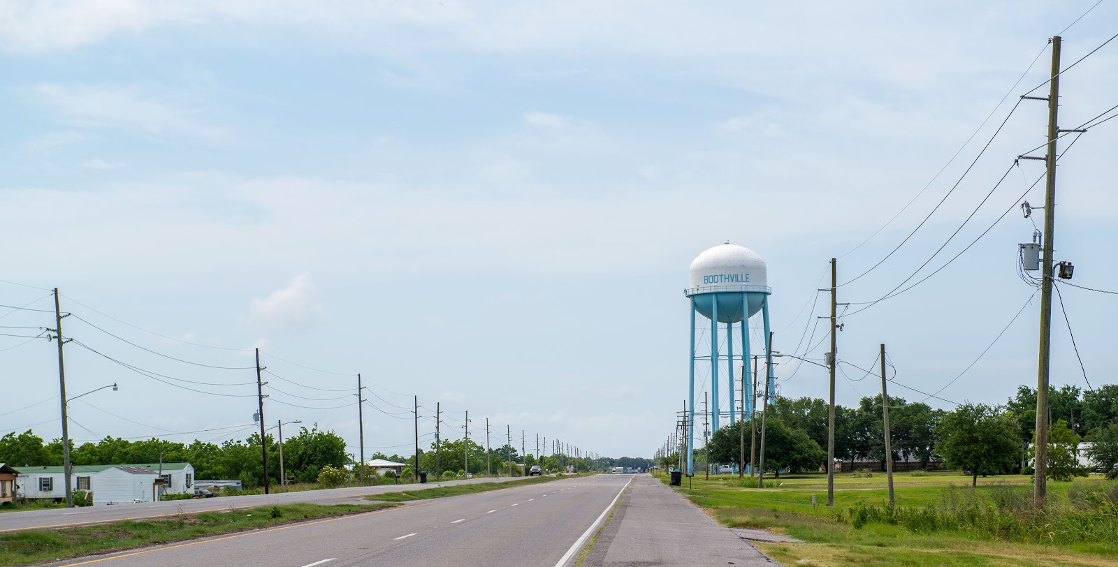 Yellow Cotton Bayside