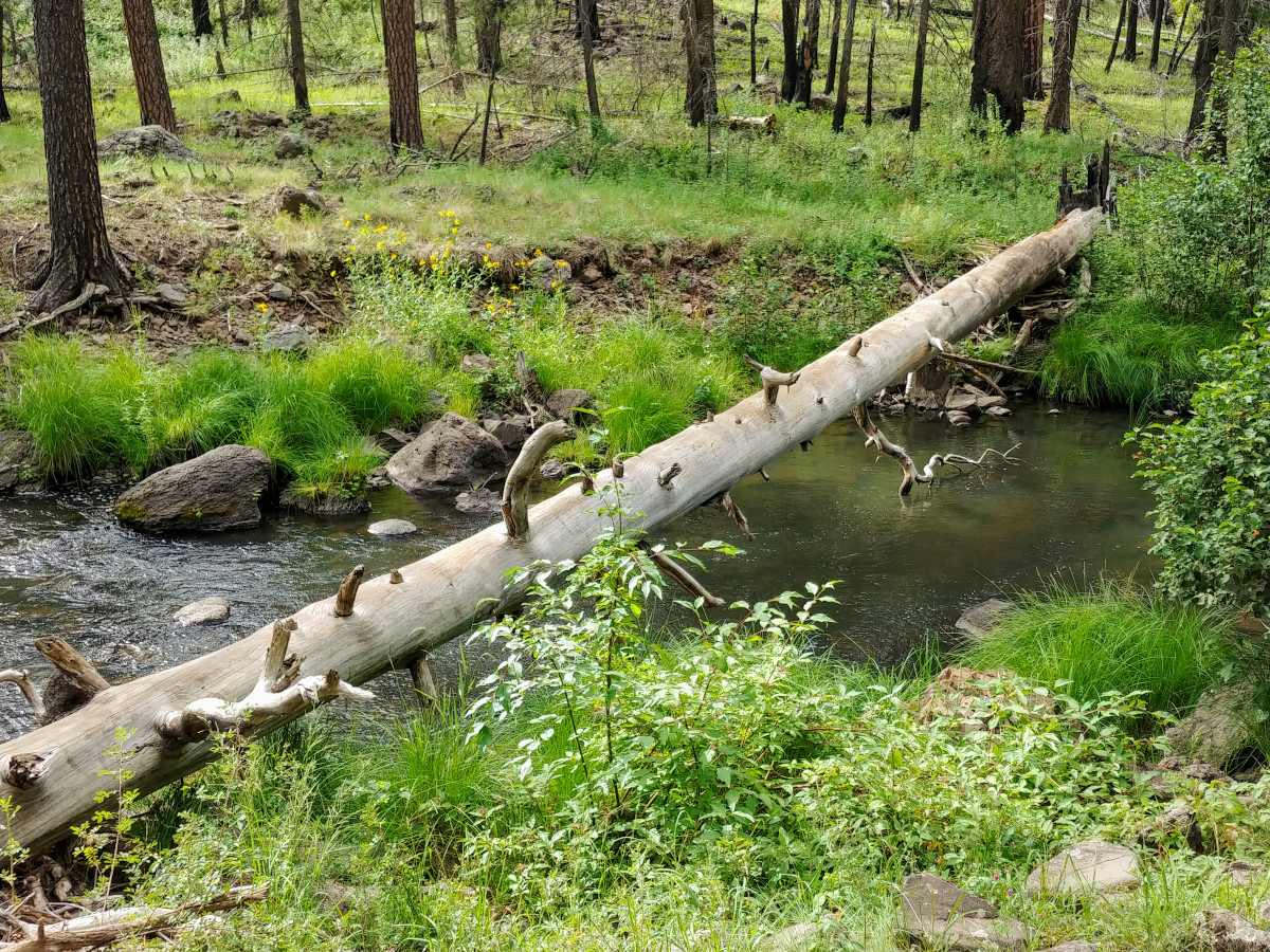 Horse Springs Campground