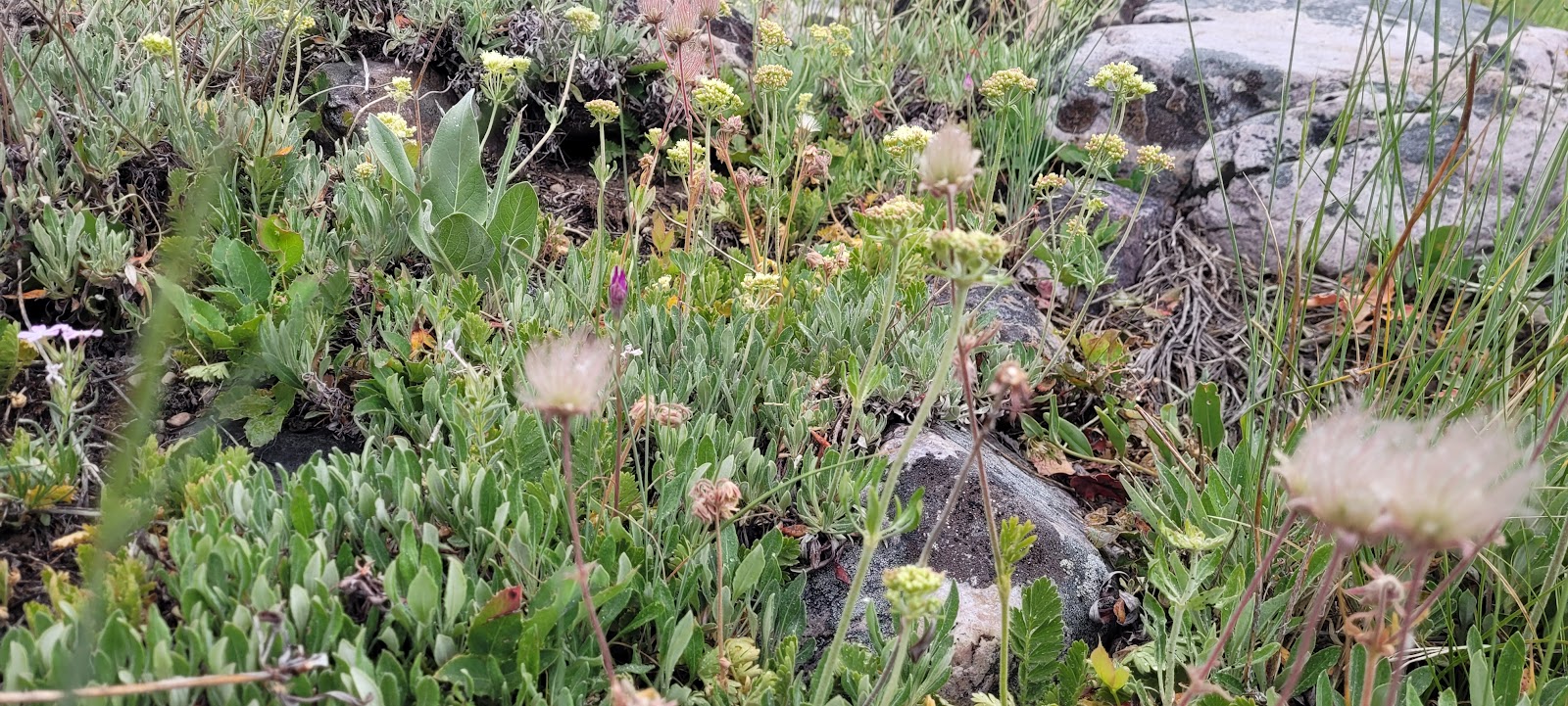 Timber Creek Campground