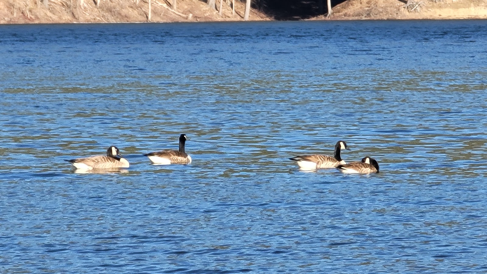 Surry Mountain Campground