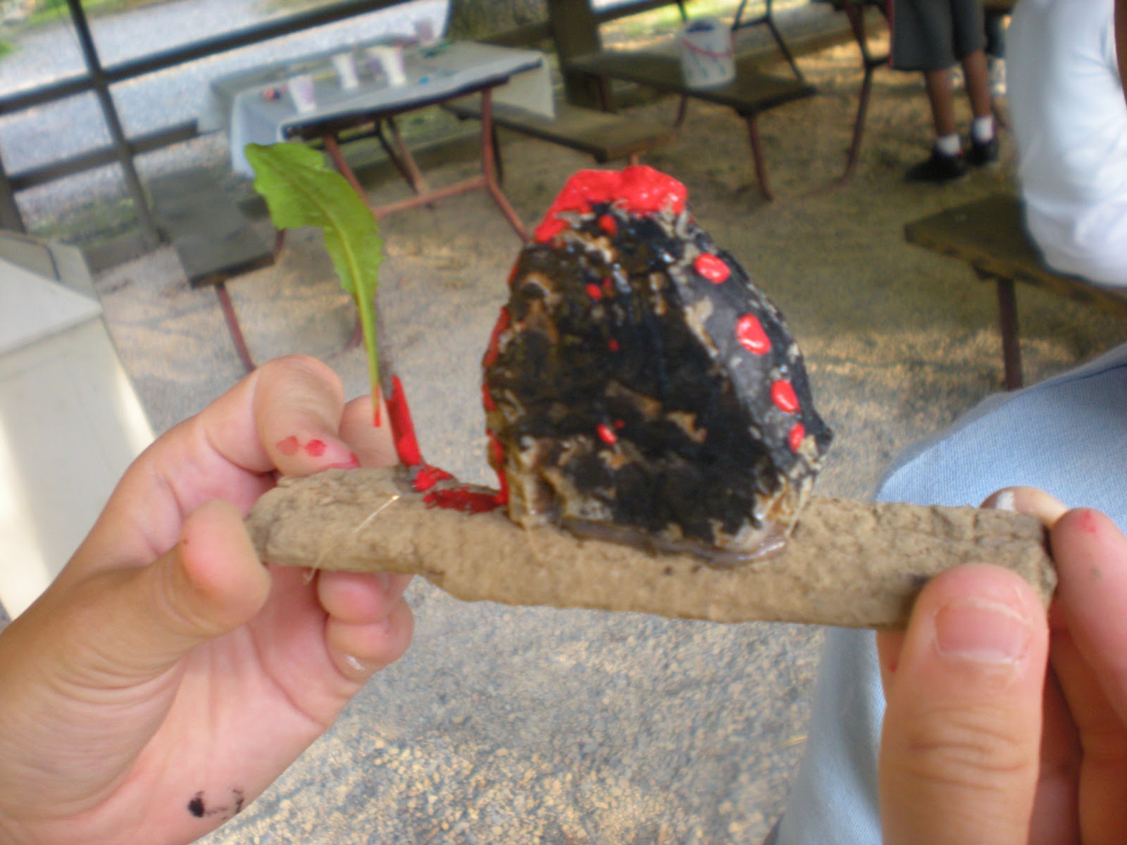 Harrisonburg/Shenandoah Valley KOA