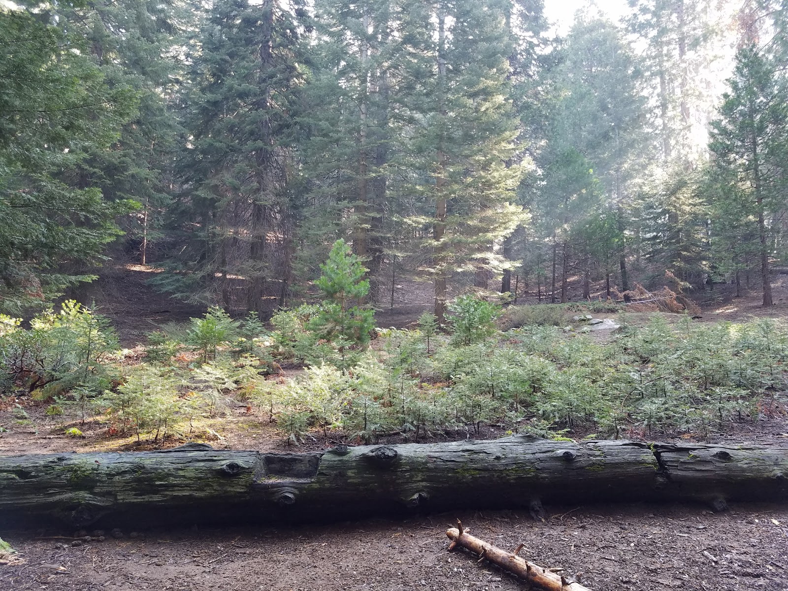 Atwell Mill Campground