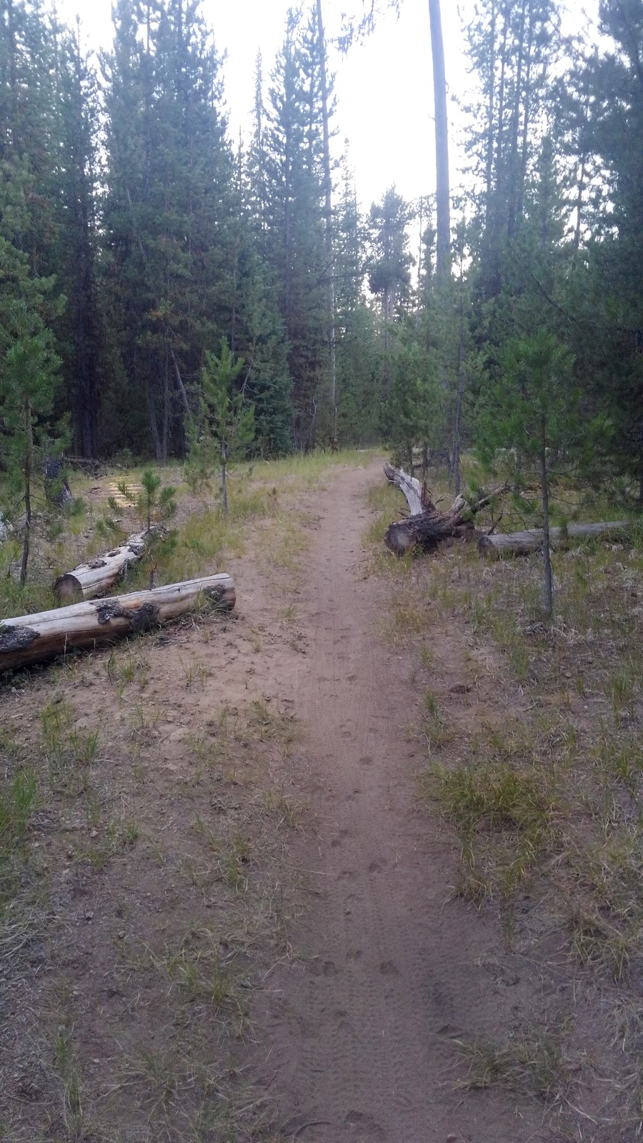 Little Lava Lake Campground