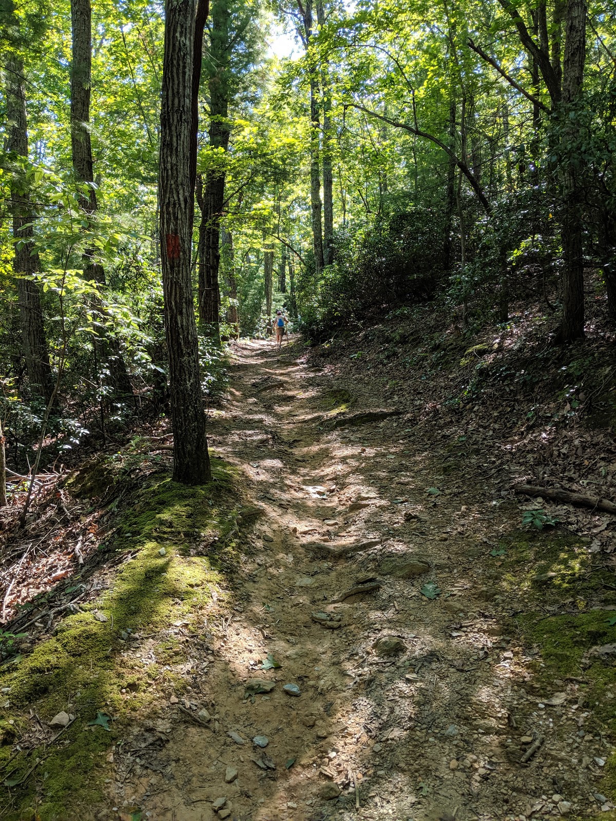 Fairy Stone State Park