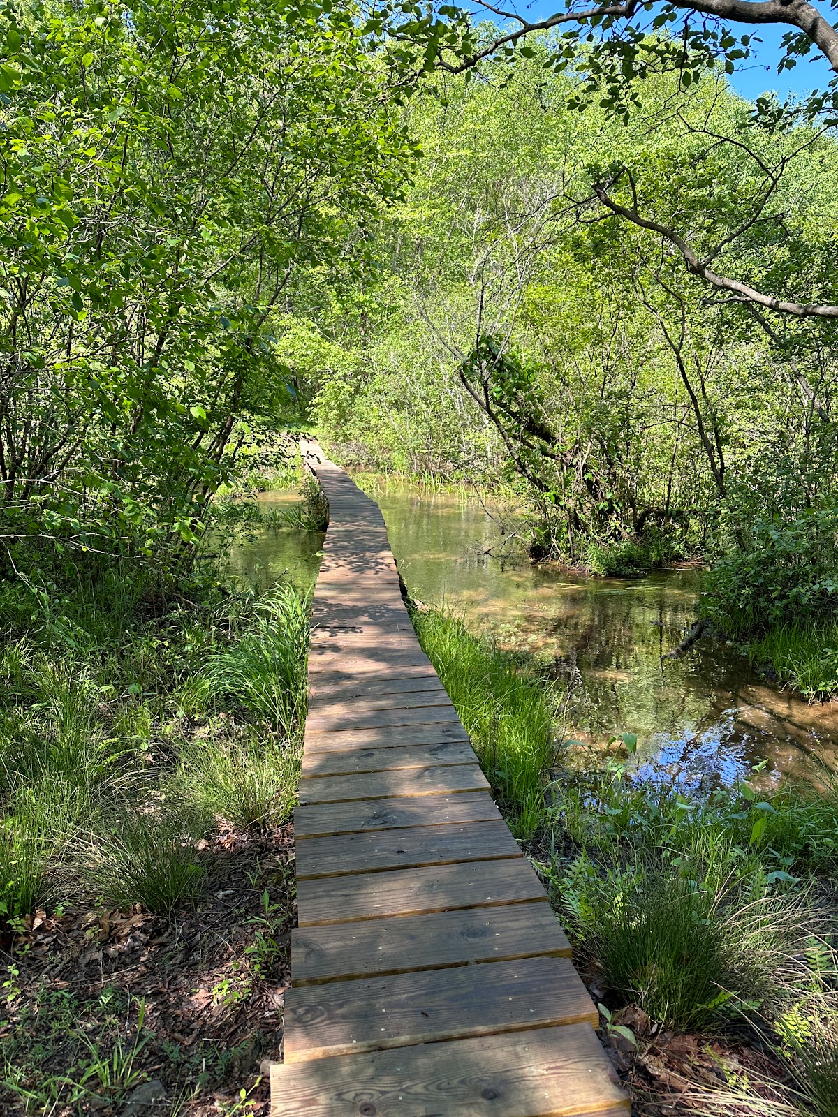 Back - Wall Doxey State Park