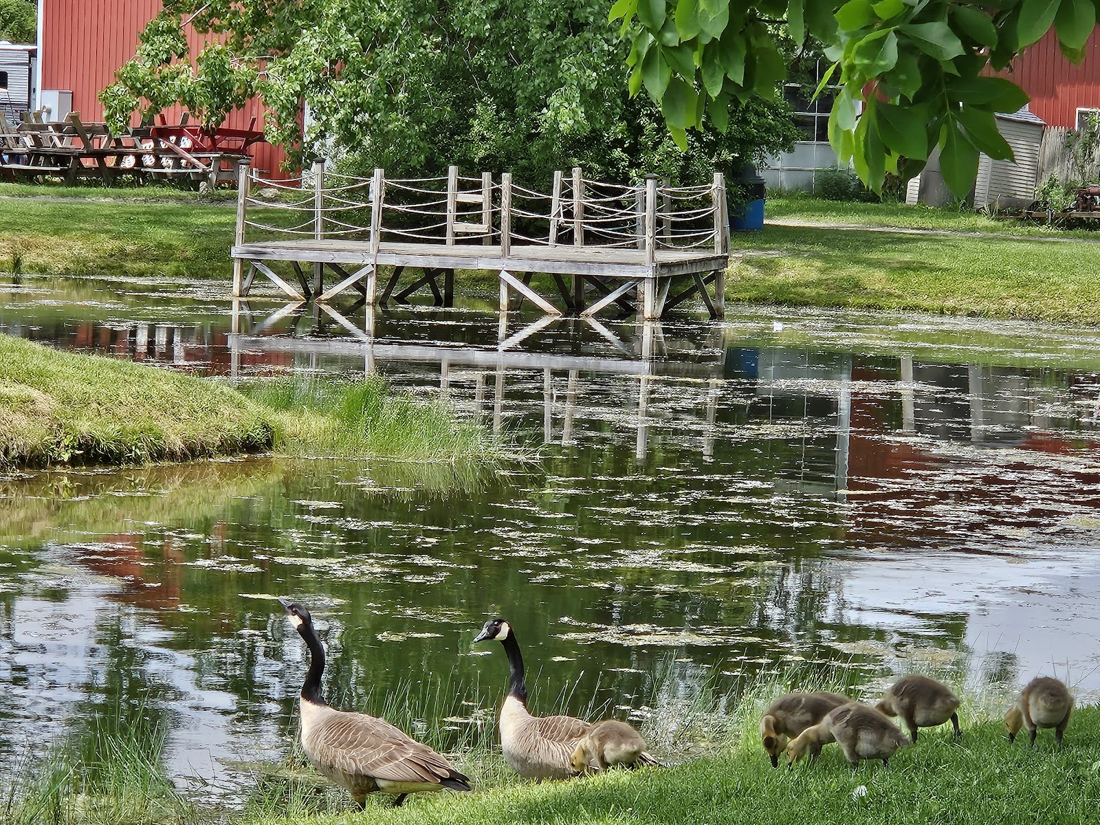 Paradise Park Campground