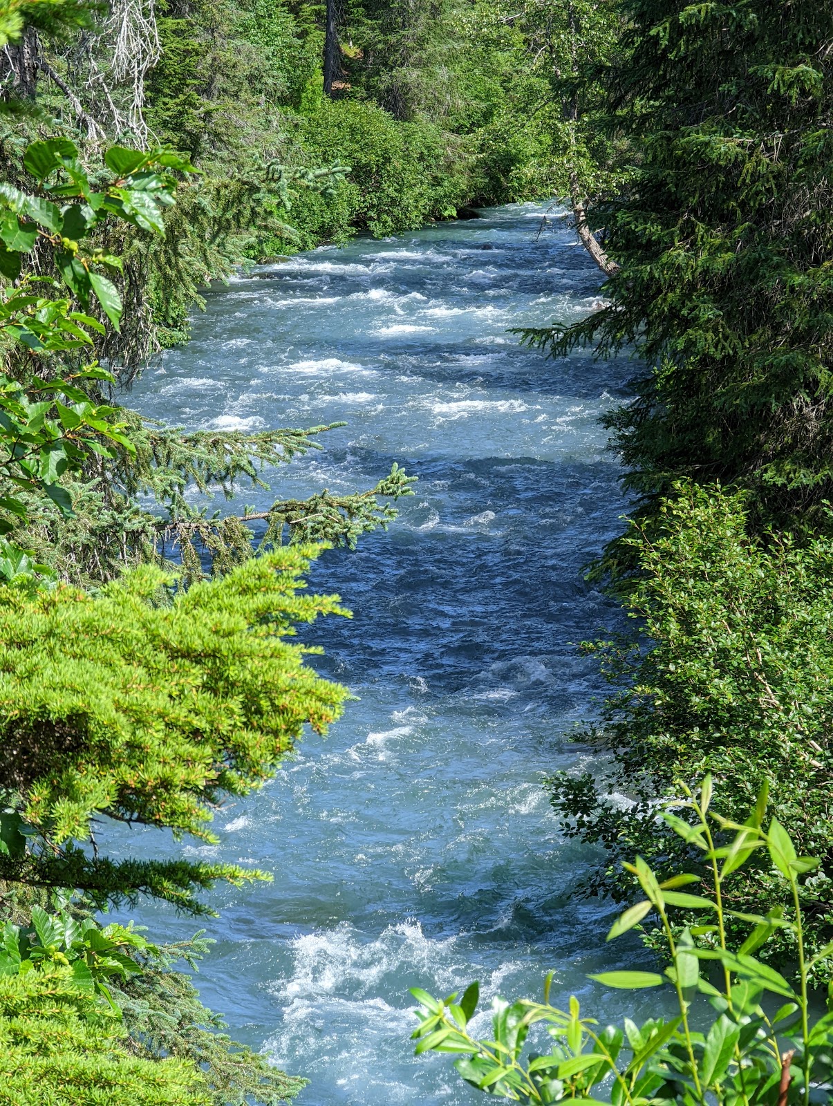 Ptarmigan NF Campground