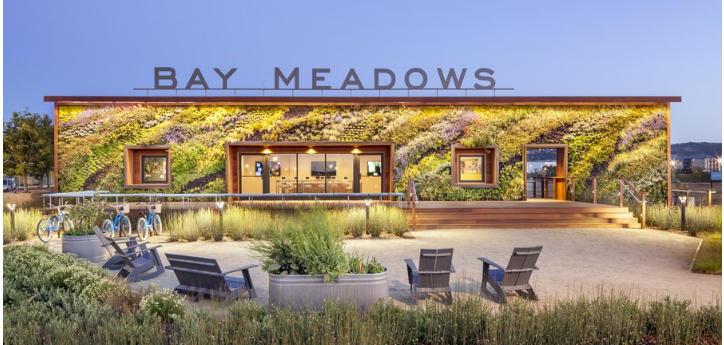 Meadows by the Bay