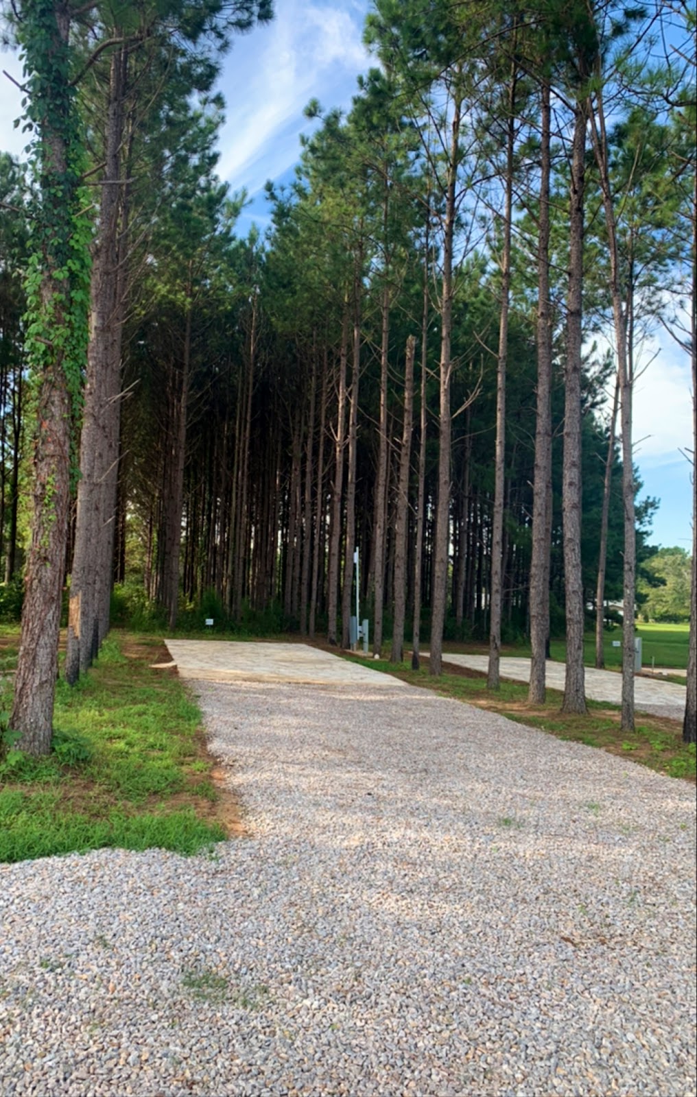 American Robin RV Park & Bird Sanctuary