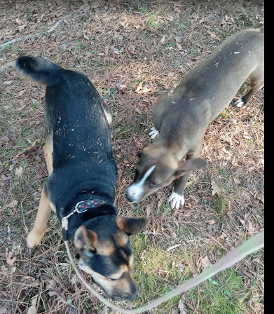 Castle Keepers RV Resort