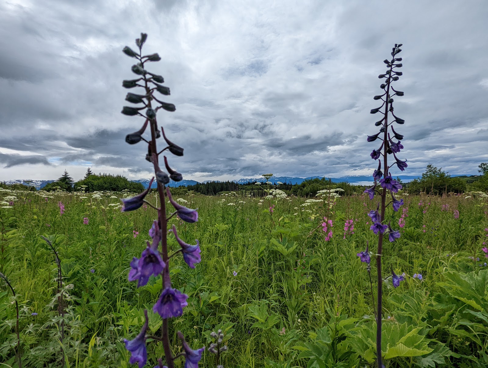 Eveline State Recreation Site