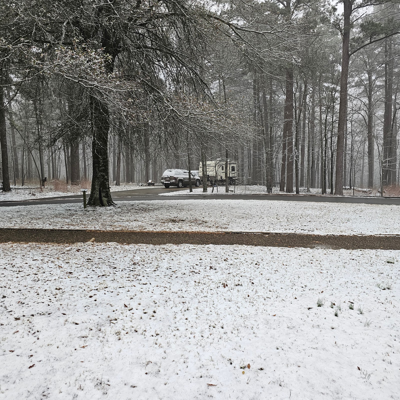 Earthquake Ridge Trail