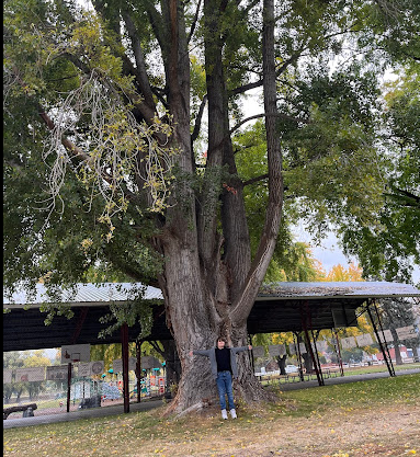 Boundary County Fairgrounds