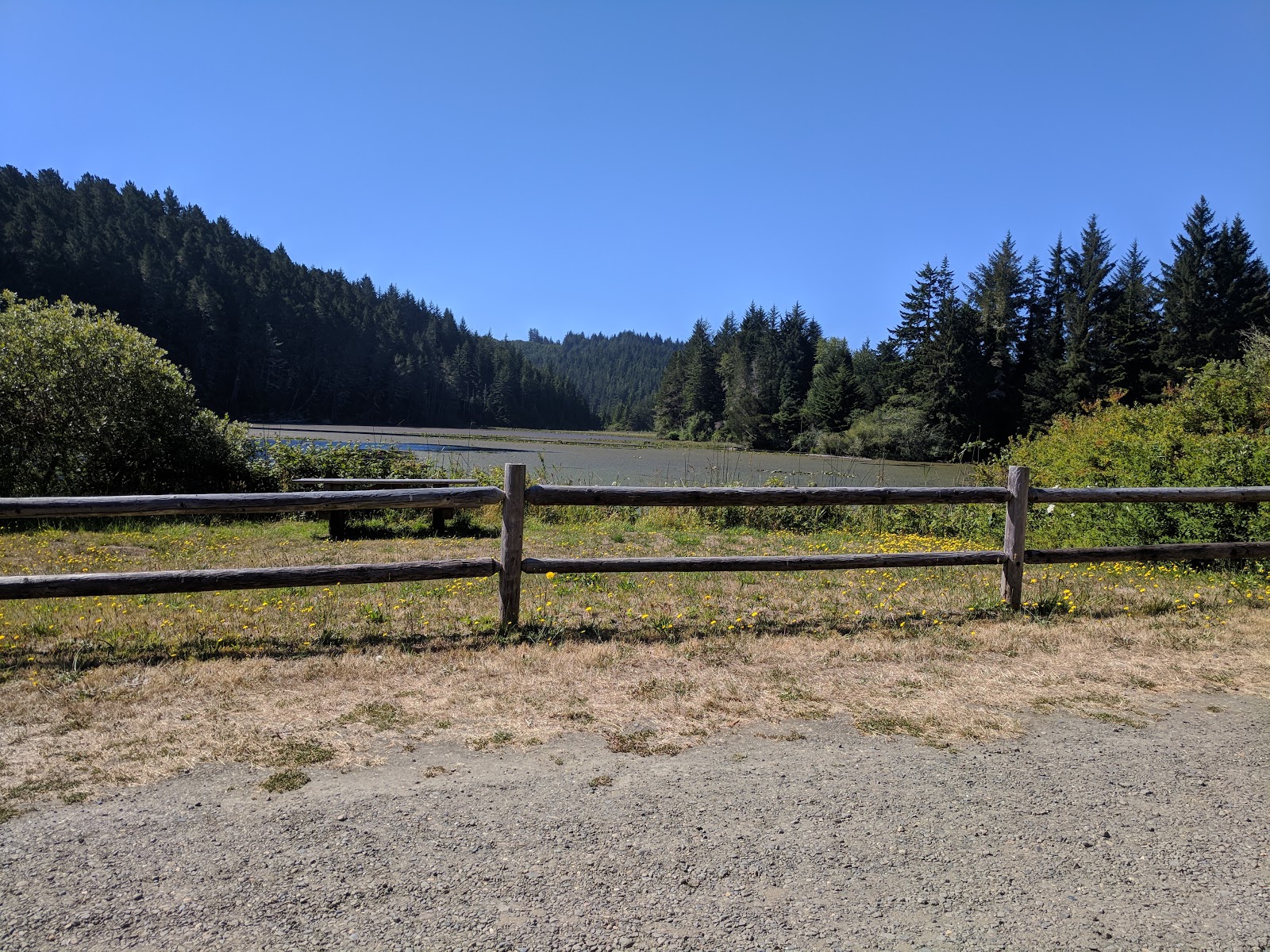 Tahkenitch Landing Campground