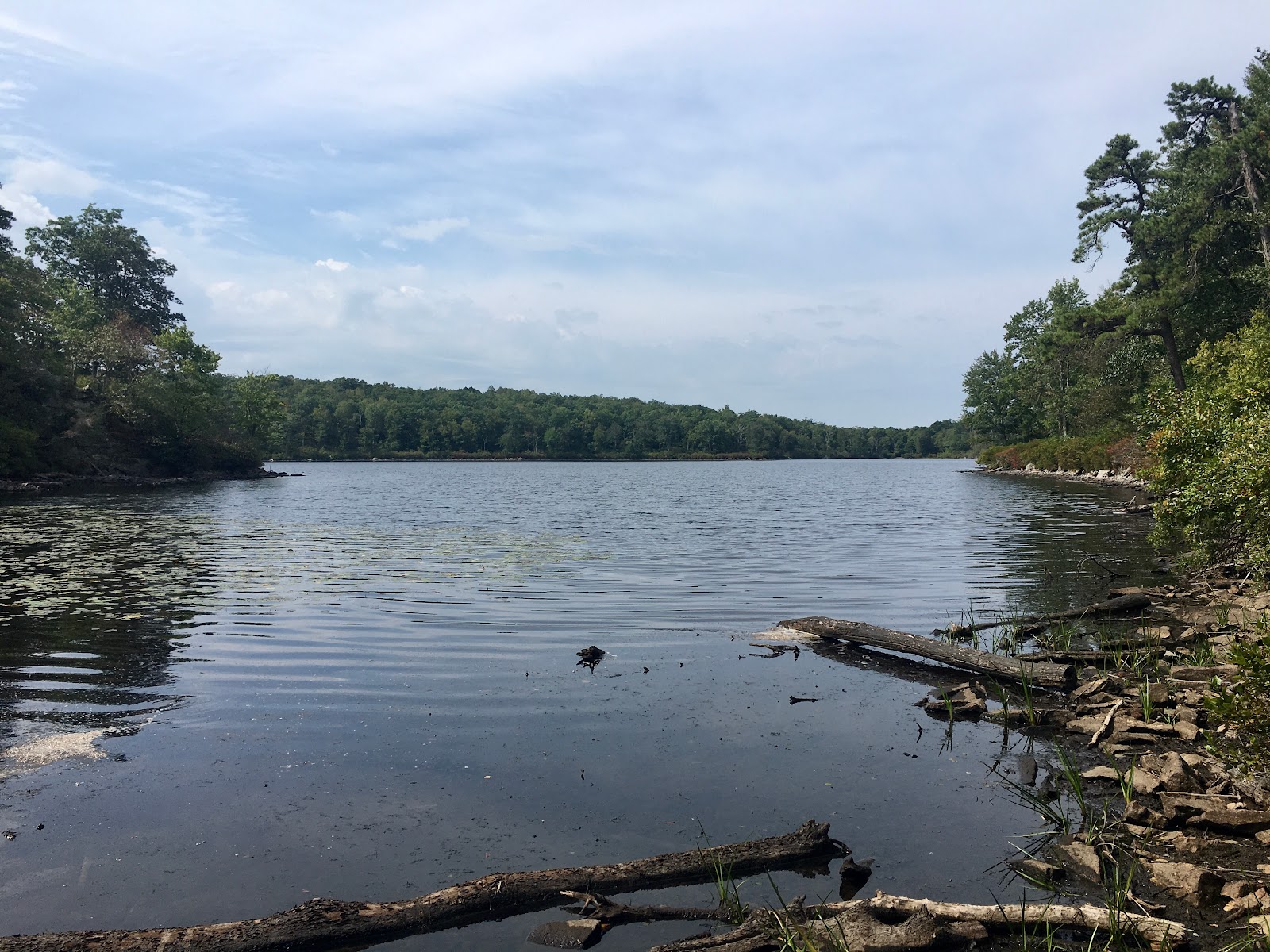 Worthington State Forest