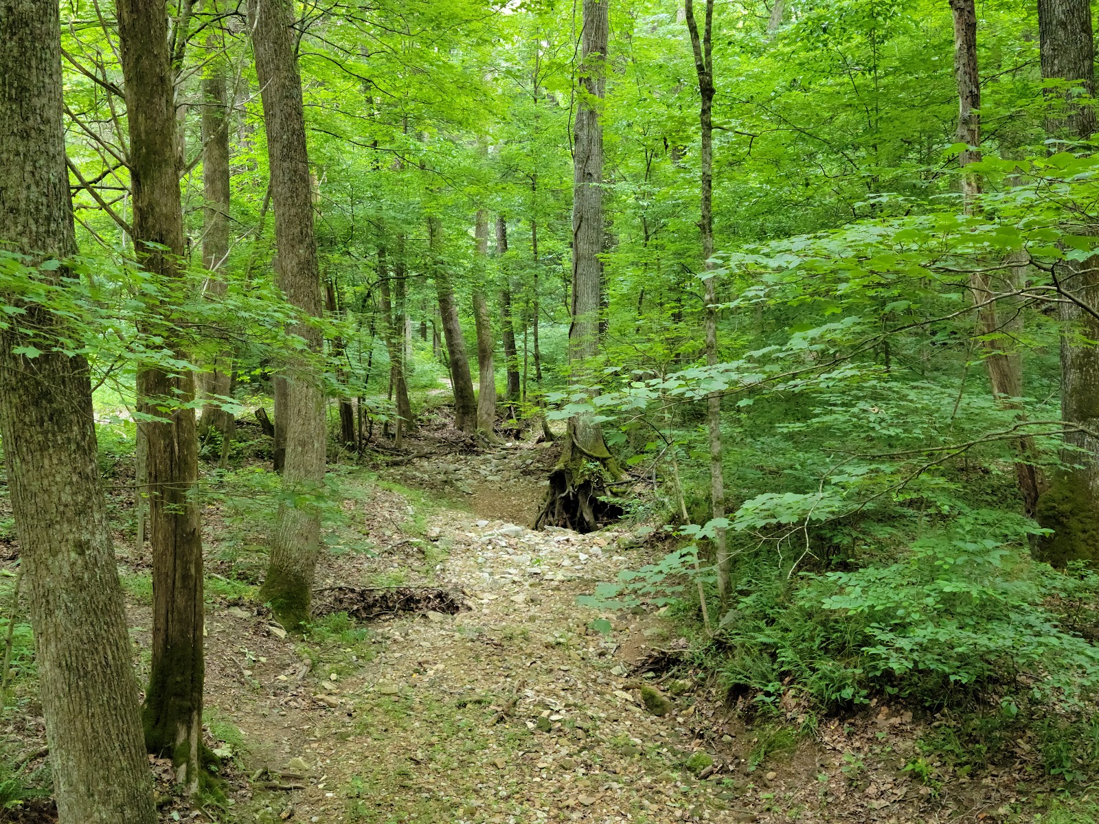 O’Bannon Woods State Park