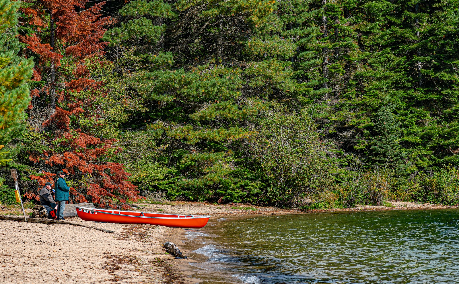 Beaver Creek Campground