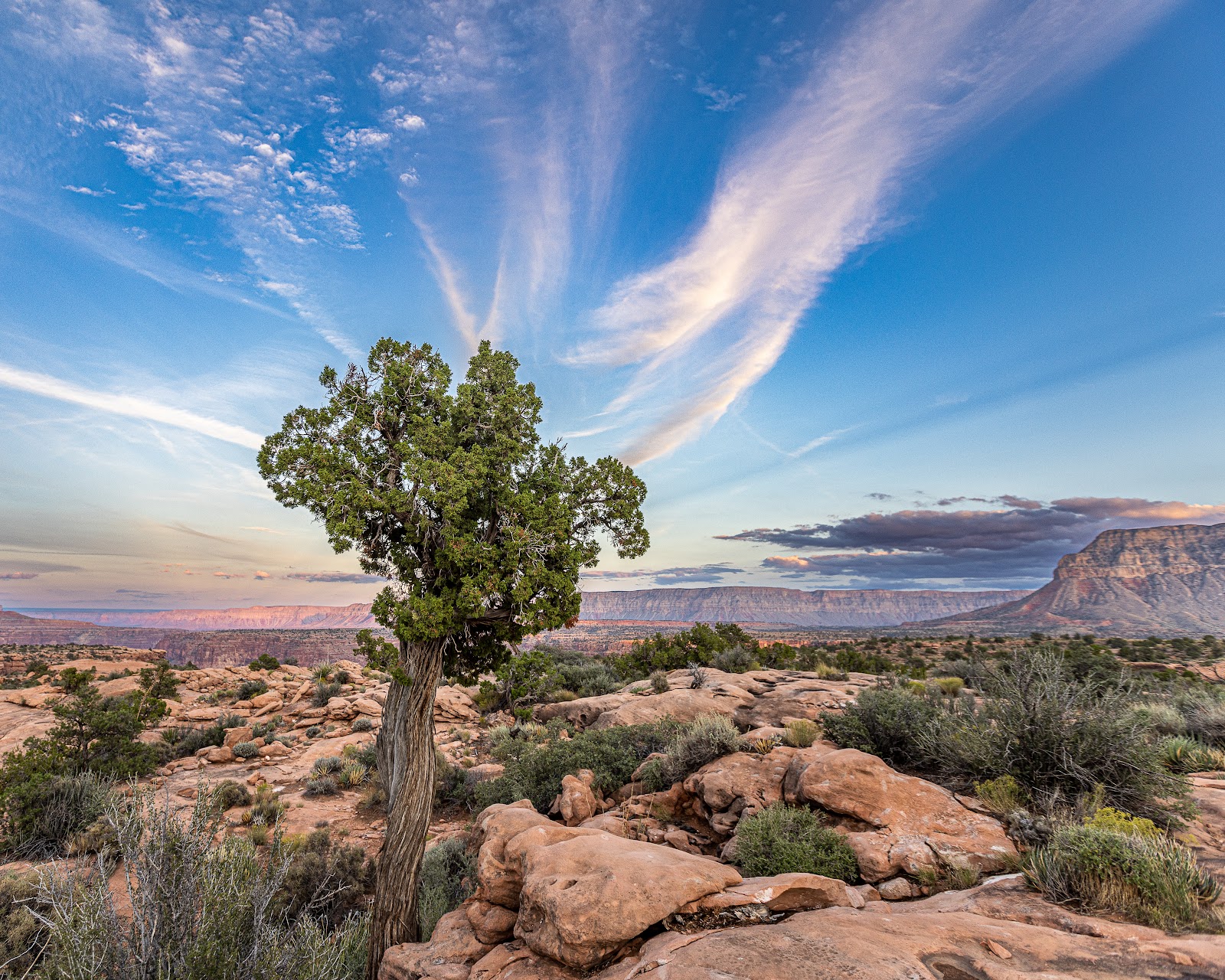 Tuweep Campground North Rim - Grand Canyon National Park