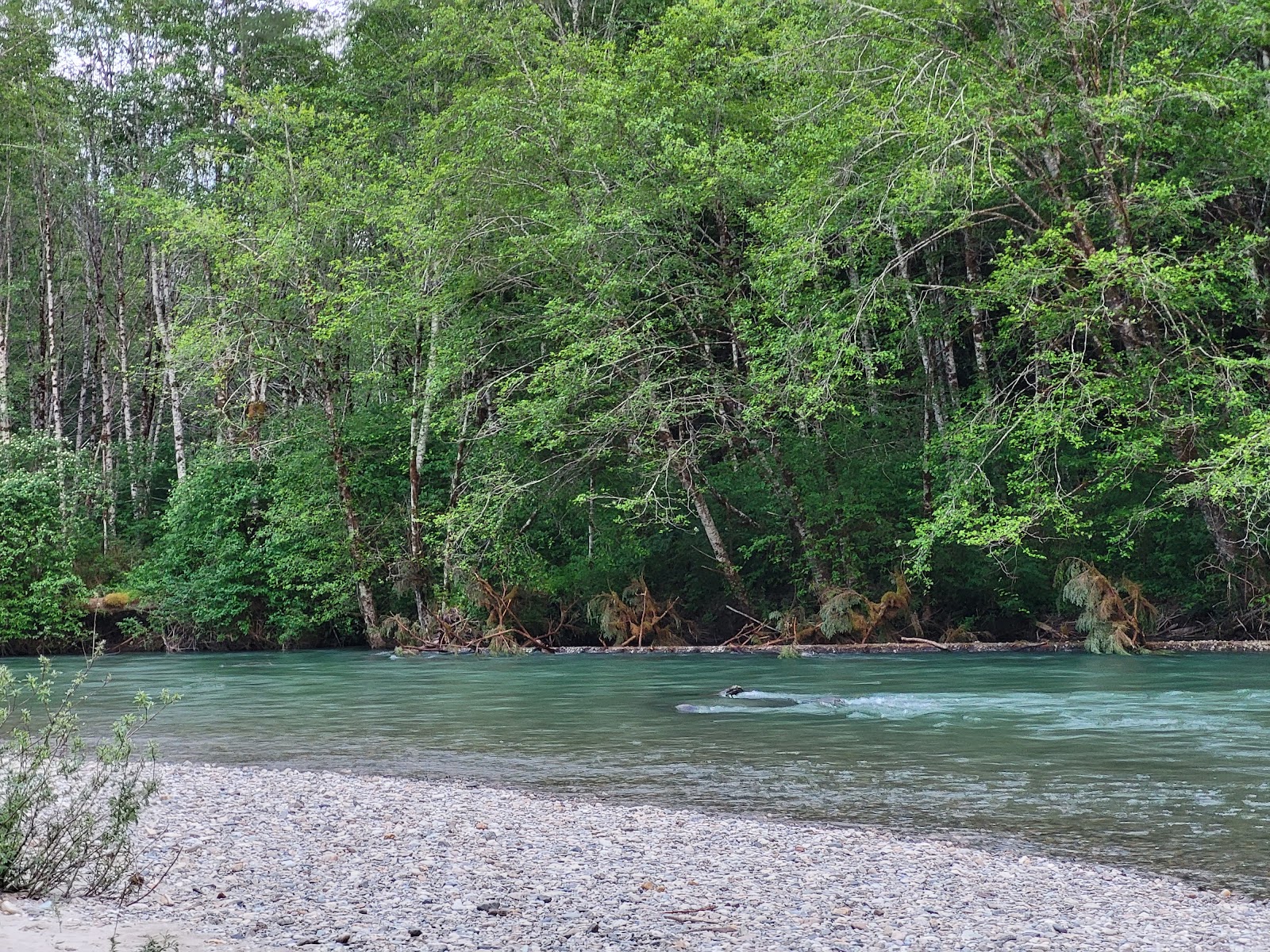 Marble Creek Campground