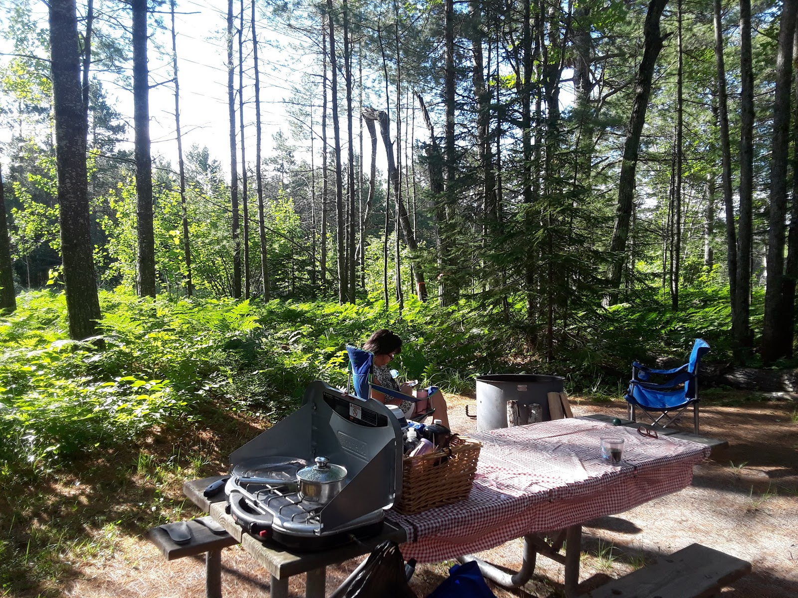 Carp River NF Campground