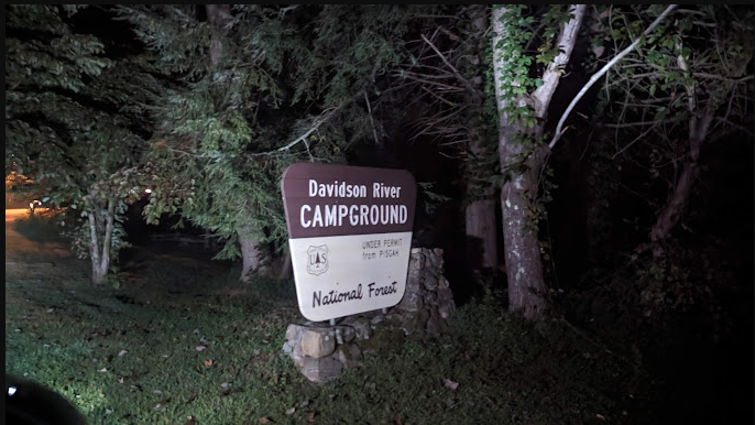 Davidson River Campground