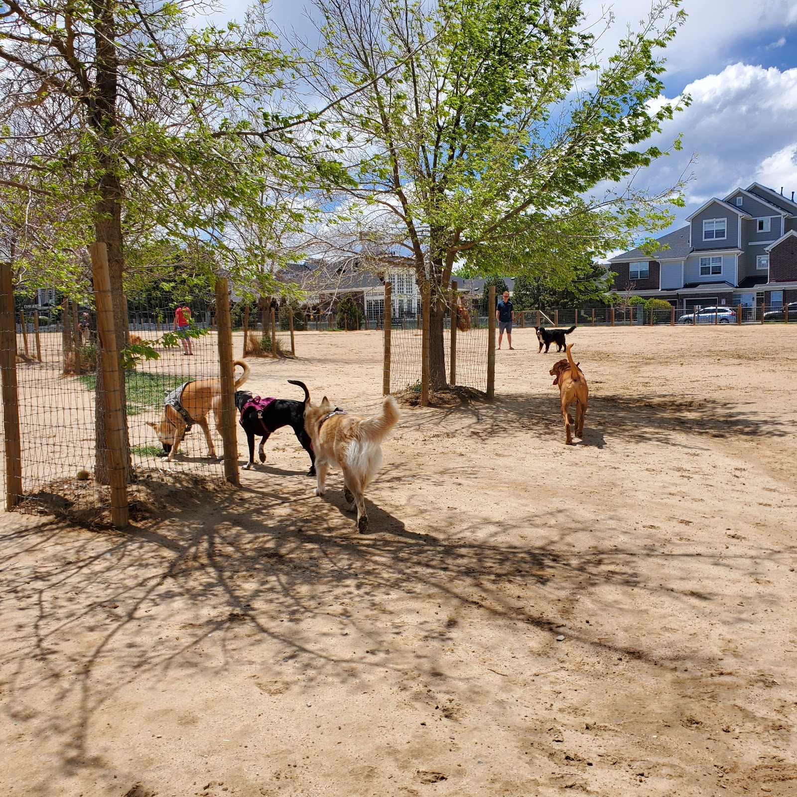 Kennedy Dog Park