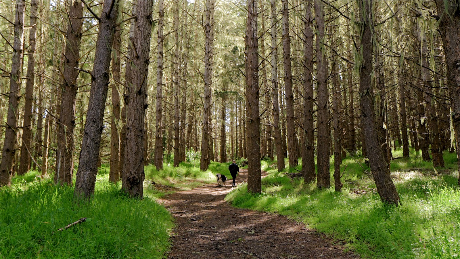 Saddle Mountain Recreation Park