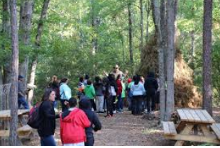 Trail Blazer Survival Camp