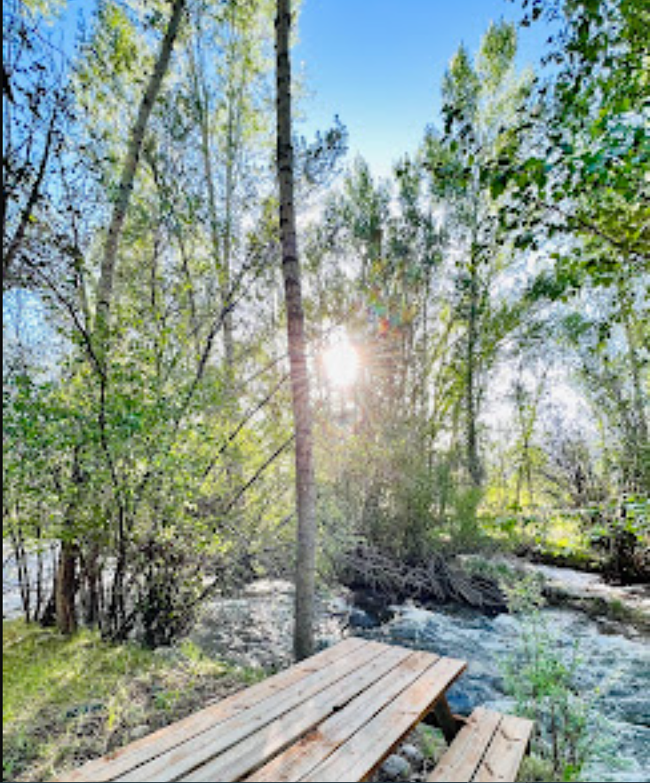 MoonStream Vintage Campground