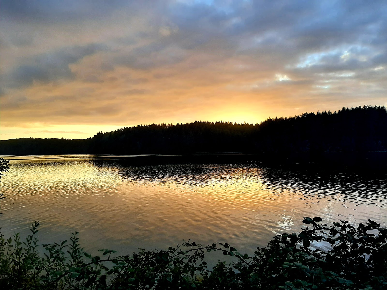 Sawyer's Landing Marina & Rv