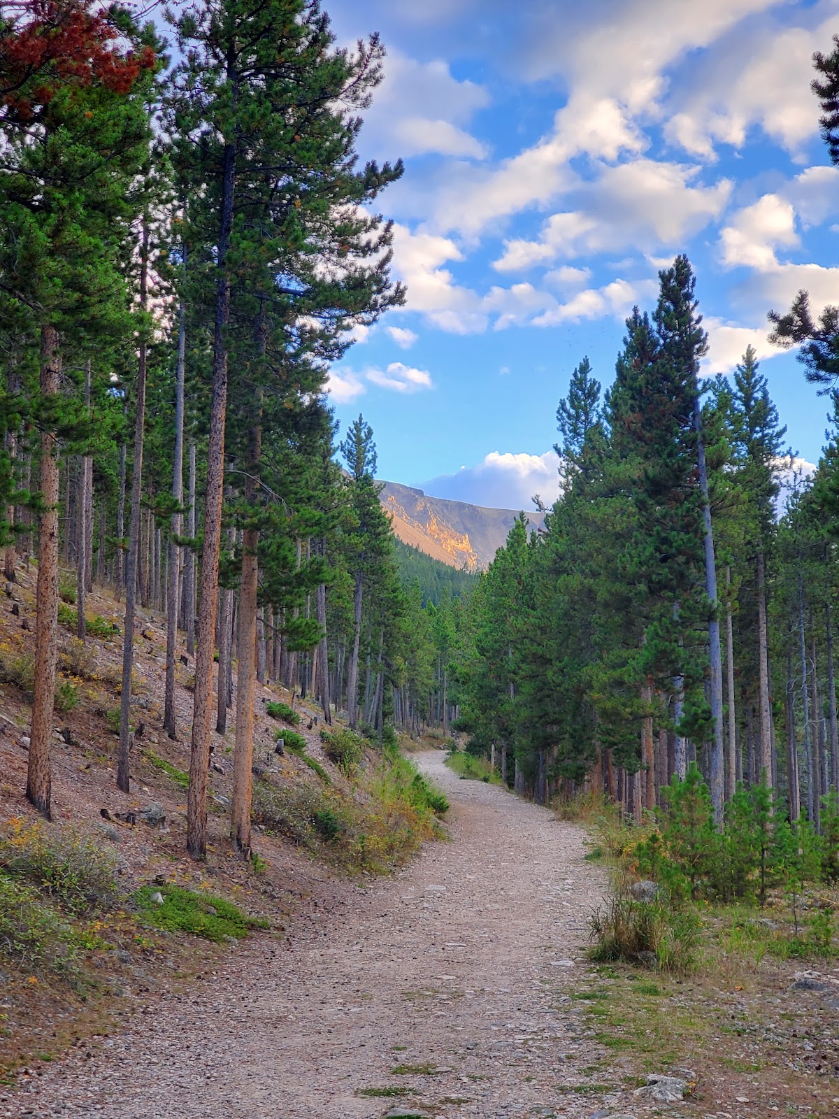 Greenough Lake Campground