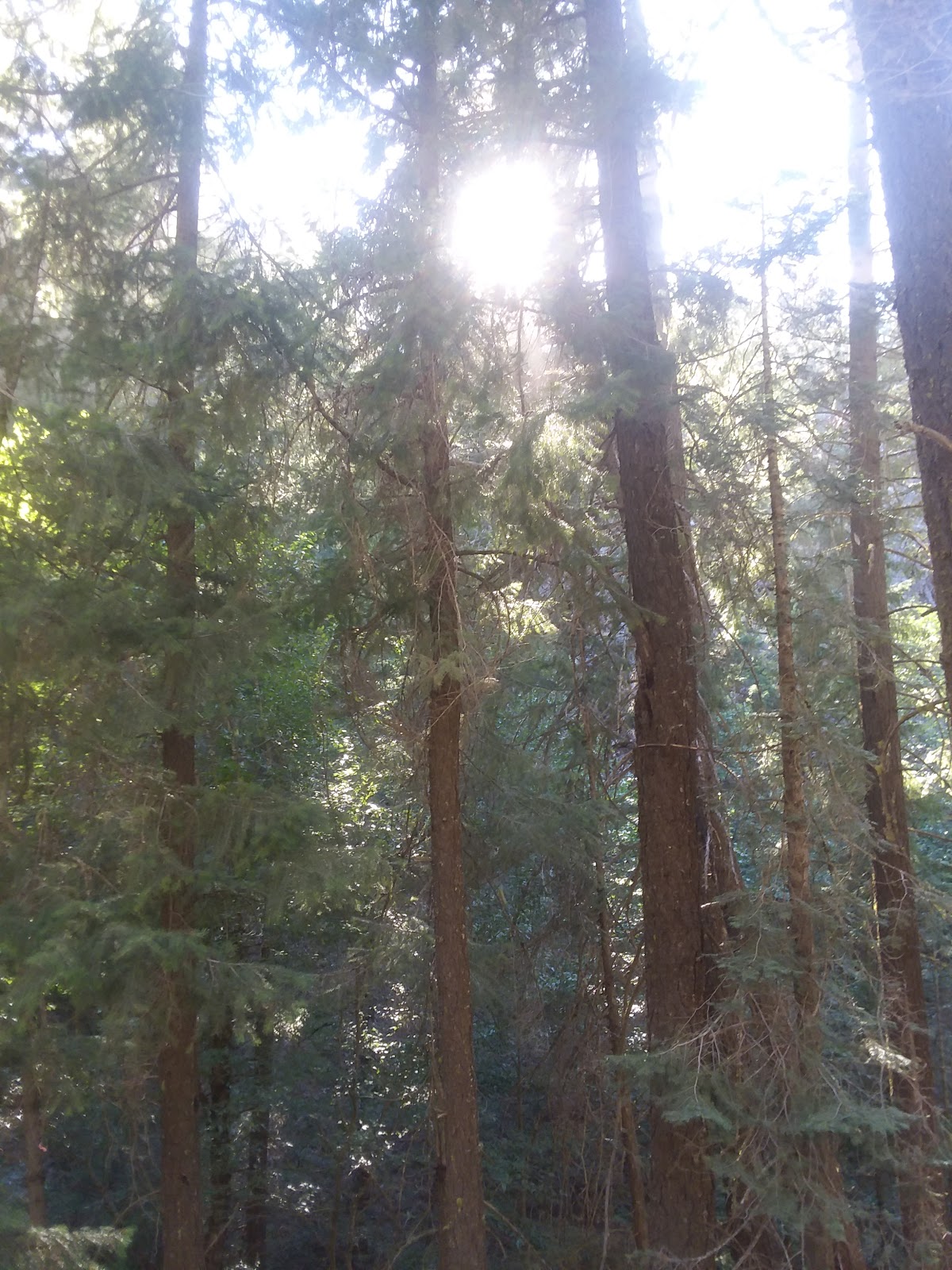 Snake Lake Campground