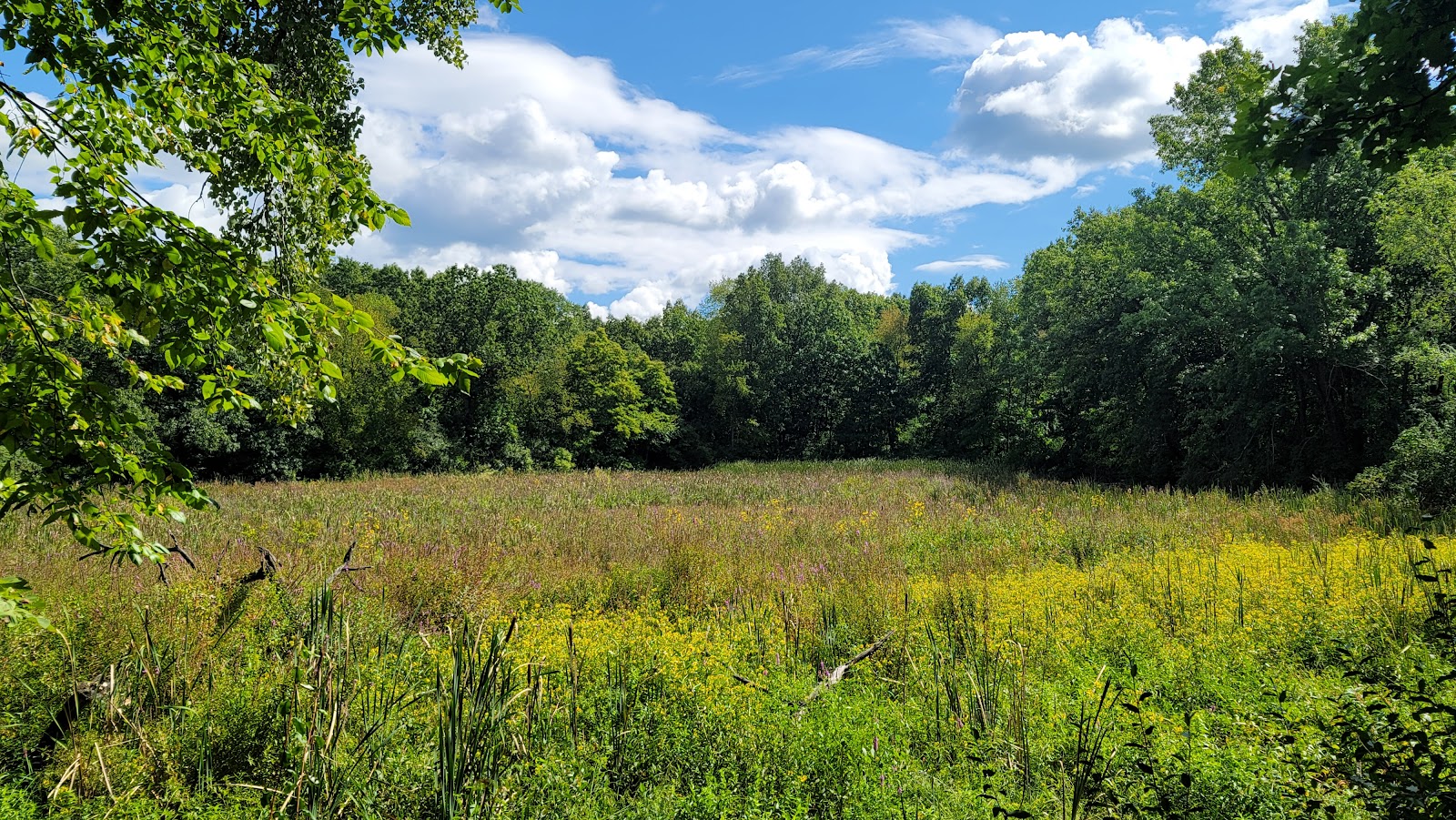 Waterloo State Recreation Area
