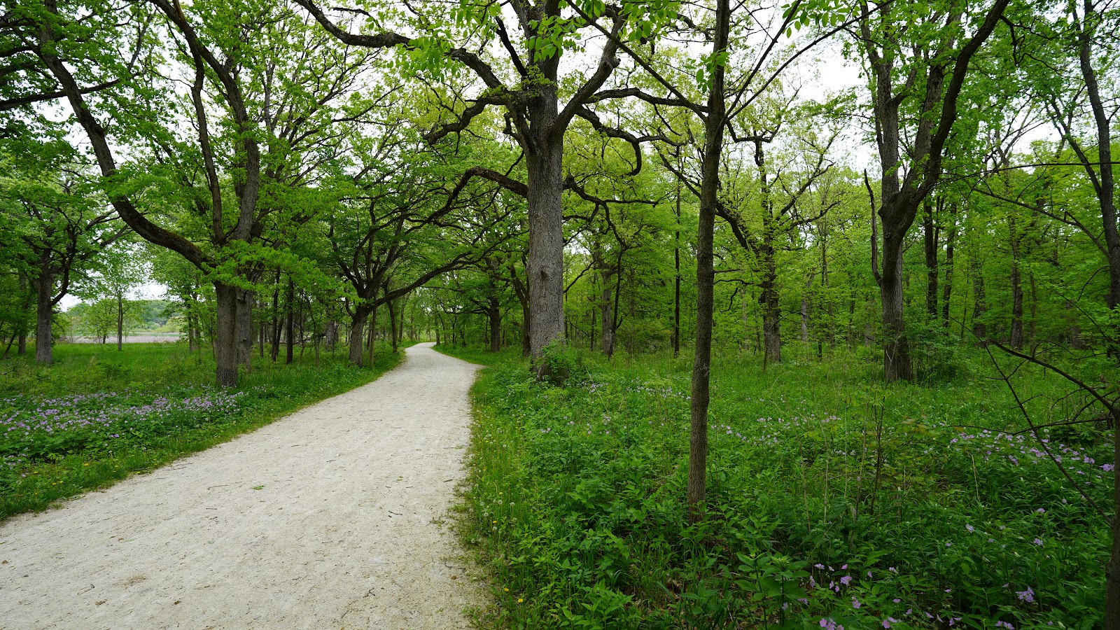 Blackwell Forest Preserve