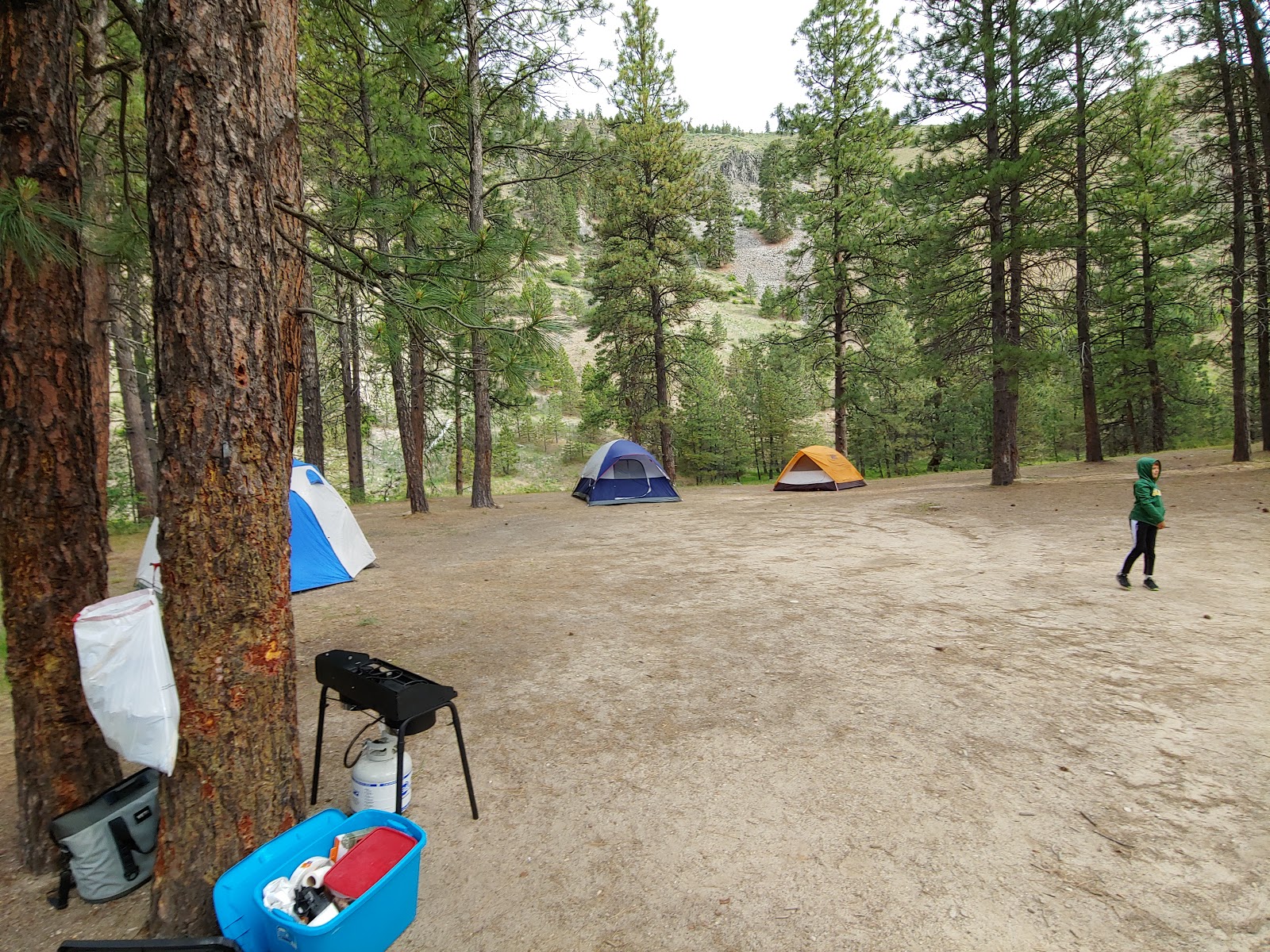 Troutdale Campground