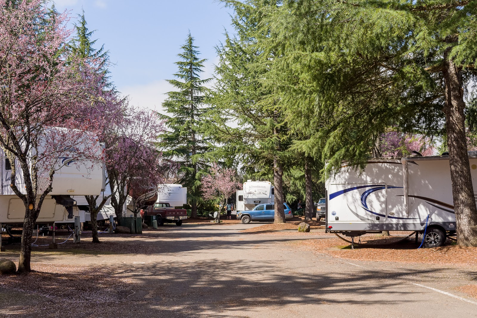 Village Green RV Park