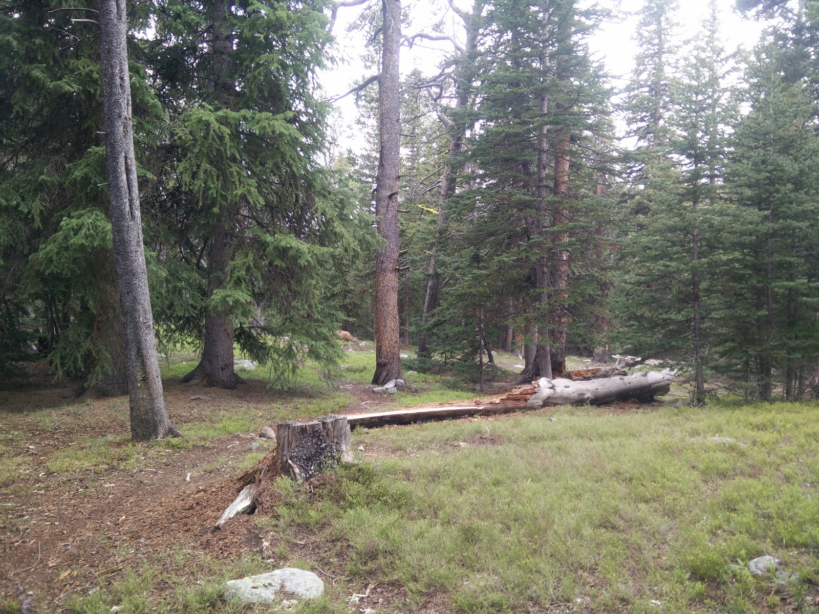West Tensleep Lake Campground