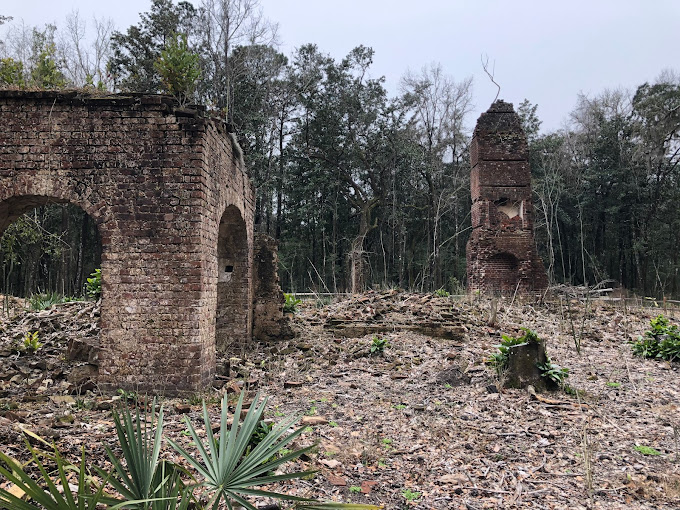 Santee Coastal Reserve