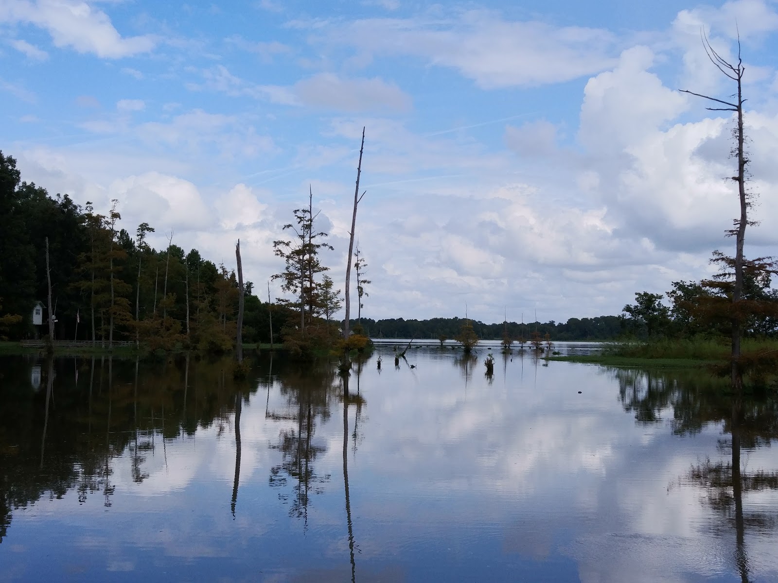 Blue Bluff Campground