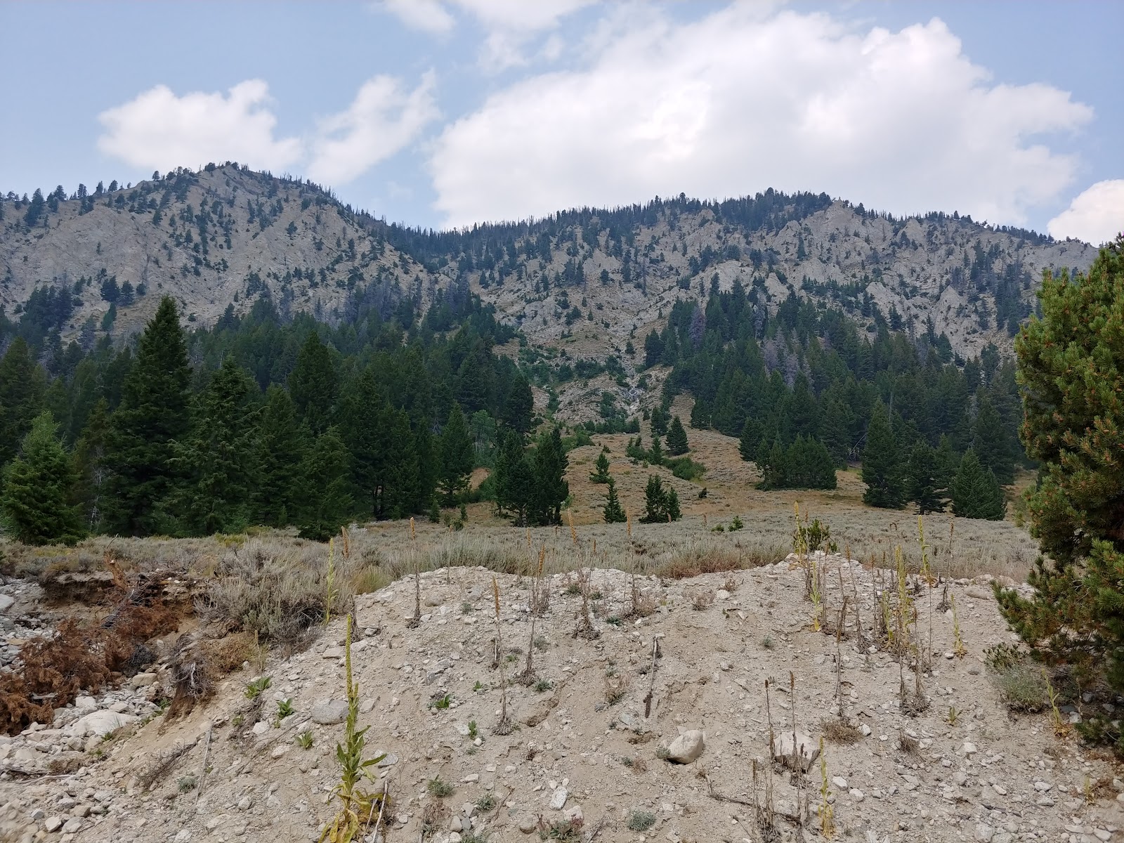 Smokey Bear Campground