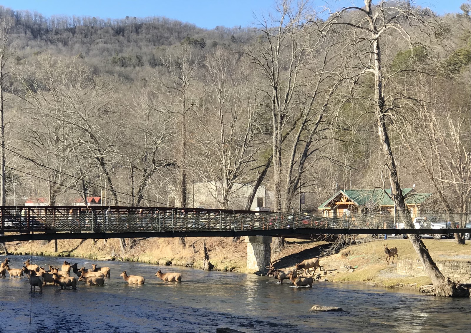 Cherokee Riverfront RV Park