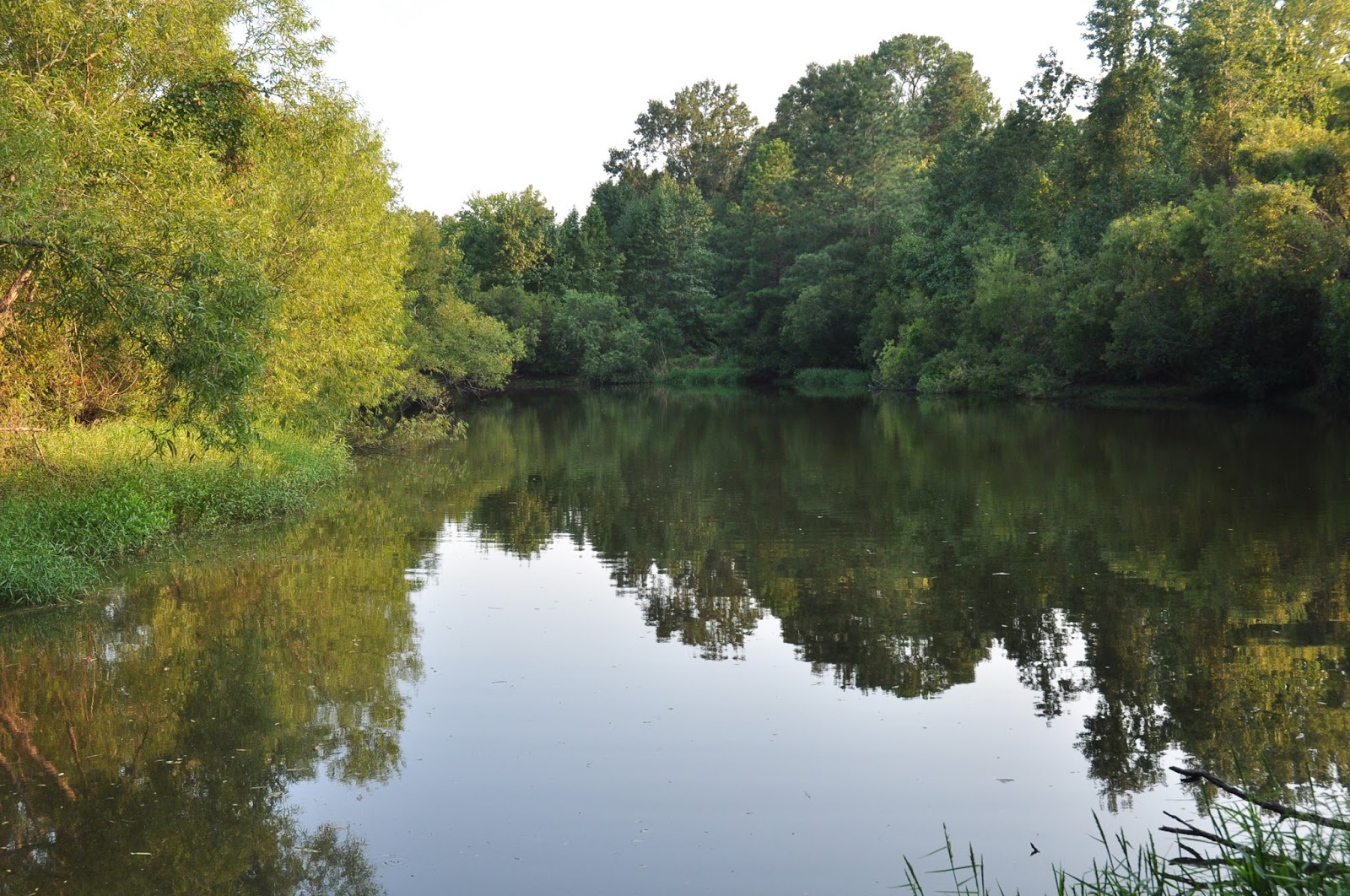 The Oaks At Point South RV Thousand Trails