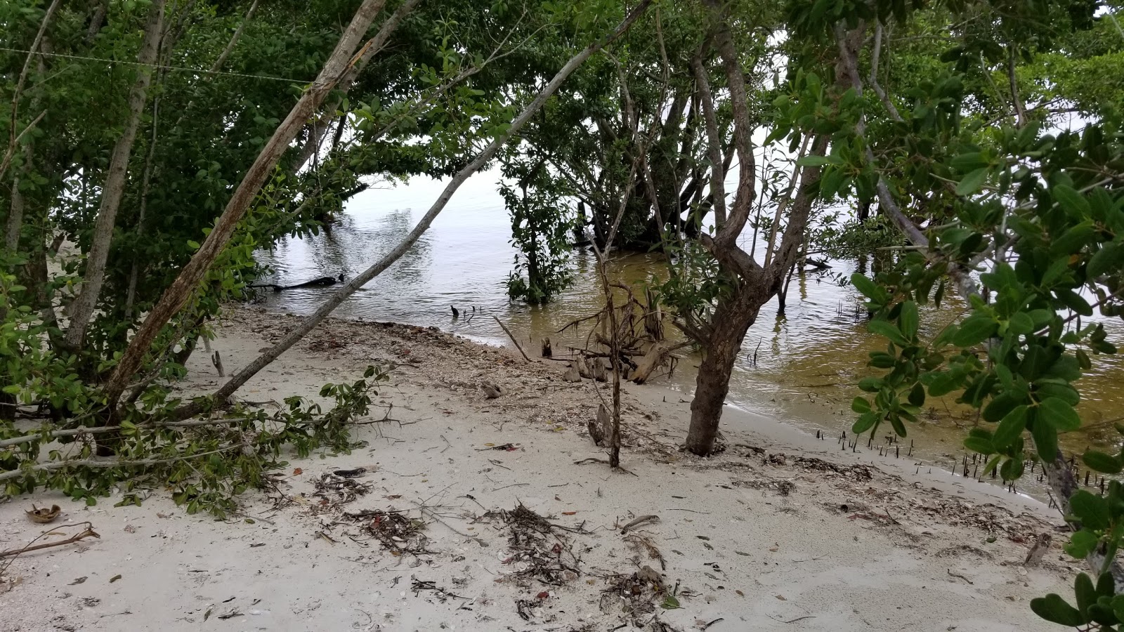 Backcountry Rabbit Key - Everglades National Park
