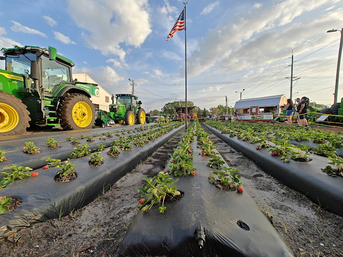 Florida Strawberry Festival Seminole Lot