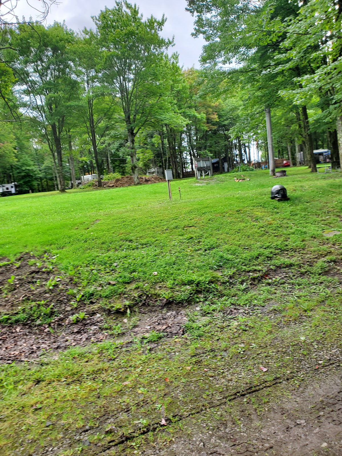 Pine Hill Campground & Cabins